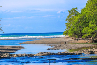       Ocean View From Lajas River
  - Costa Rica