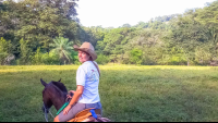        Horseback Rapelling Tour Rancho Tropical Matapalo
  - Costa Rica