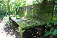        santa elena mossy seat 
  - Costa Rica