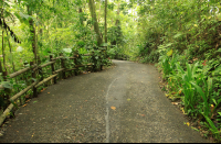        arenas del mar road 
  - Costa Rica