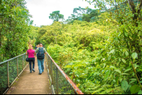        People Crossing A Cement Bridge During The Celeteste River Waterfall Tour
  - Costa Rica