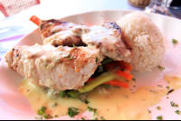        mopri snapper 
  - Costa Rica