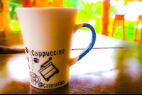        Cappucino Cup Drake Bay Cafe
  - Costa Rica
