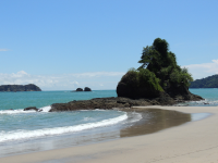        manuel antiono national park attraction turtle point 
  - Costa Rica