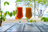        Fruit Cocktails Il Giardino Restaurant Puerto Jimenez
  - Costa Rica