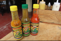        hot sauces giled iguana
  - Costa Rica