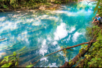        A Man Looking At The Blue River
  - Costa Rica