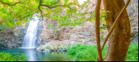        Swimming Hole Montezuma Lower Falls
  - Costa Rica