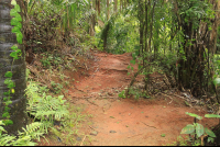        titi canopy tour trail 
  - Costa Rica