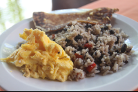       Scramble Egg Gallo Pinto With Tortilla
  - Costa Rica