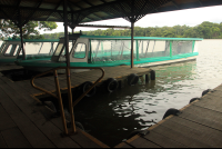        anhinga lodge dock 
  - Costa Rica