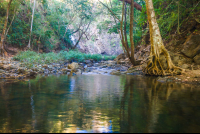        Montezuma River Pond Near The Montezuma Lower Fall
  - Costa Rica