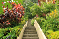        hotel la colina stairs 
  - Costa Rica