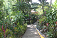        garden walkways hotel belvedere 
  - Costa Rica
