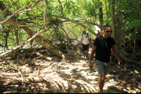       cahuita national park snorkeling hiking tour hiking 
  - Costa Rica