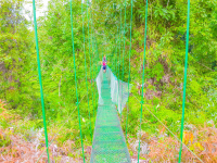        Suspension Bridge Corcovado Canopy Tour
  - Costa Rica