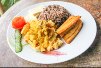        gallo pinto costa rica typical breakfast 
  - Costa Rica