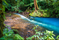        Tenidero Place Where Fresh Water Turns Blue
  - Costa Rica