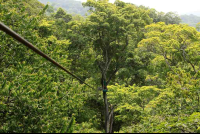        chiclets canopy tour thcable 
  - Costa Rica