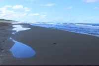        playa grande puddle 
  - Costa Rica