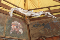       Skeleton Restaurant Kardoes
  - Costa Rica