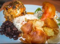        chicken casado at la leona eco lodge 
  - Costa Rica