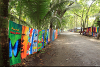        tortilla flats road 
  - Costa Rica