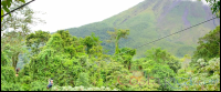        Tree Platform A Person Zooming And Arenal Volcano As Background Los Canones Canopy Tour La Fortuna
  - Costa Rica