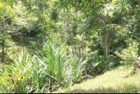        tierra y fuego lands 
  - Costa Rica