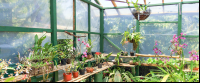        monteverde orchid garden 
  - Costa Rica