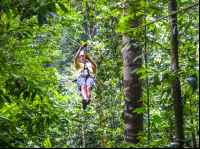        Guy Zip Lining Osa Palmas Canopy Tour
  - Costa Rica
