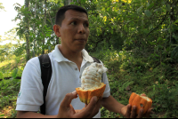        kekoldi reserve attraction cacao fruit 
  - Costa Rica