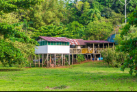        Chocuaco Waterfalls Stable
  - Costa Rica
