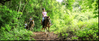        discovery horseback tour rainforest 
  - Costa Rica