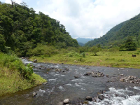        crossing childrens ete rnfrst final river 
  - Costa Rica