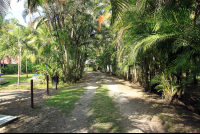        sibu hotel path 
  - Costa Rica