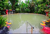        Blue River Resort Hot Spring Cement Pool
  - Costa Rica