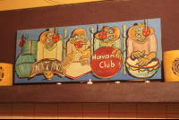        Havana Club Deco At The Place Hotel
  - Costa Rica