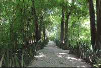        walking yoga institute grounds 
  - Costa Rica