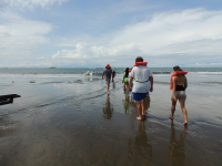        ballena aventura tour walking 
  - Costa Rica