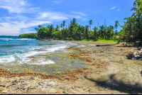        playa negra coral 
  - Costa Rica