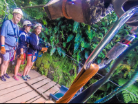        Arrival At The First Platform Inside The Canyon At The White River Canyon Zip Line Rincon De La Vieja
  - Costa Rica