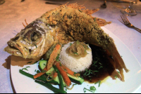        el galeon red snapper 
  - Costa Rica