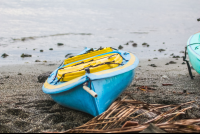        Kayak Platanares Mangroves In Puerto Jimenez
  - Costa Rica