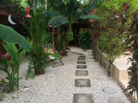        walkways samarapalmlodge 
  - Costa Rica