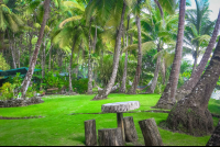        La Leona Beach Patio Costa Rica
  - Costa Rica