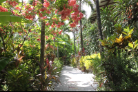        upper deck hotel belvedere 
  - Costa Rica