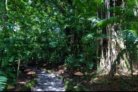        ecotermales 
  - Costa Rica