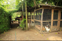        magellan inn chicken coup stable 
  - Costa Rica