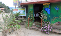        camino verde reception 
  - Costa Rica